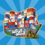 SMALL BUDS | COGOLLOS DE CBD - Imagen 7
