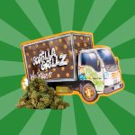 SMALL BUDS | COGOLLOS DE CBD - Imagen 6