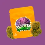 AMNESIA CBD 47 | FLORES DE CBD DE EXTERIOR - Imagen 2