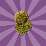 AMNESIA CBD 47 | FLORES DE CBD DE EXTERIOR - Imagen 4