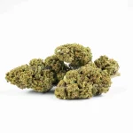 AMNESIA OG - Imagen 4