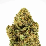AMNESIA OG - Imagen 2