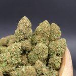 Amnesia Apple ¡MINIS!