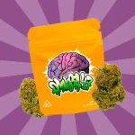 AMNESIA CBD 47 | FLORES DE CBD DE EXTERIOR