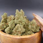 Animal Cookies