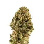 BABY BANANA - Imagen 2