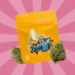 BANANA GG CBD | COGOLLOS DE CBD INDOOR - Imagen 3