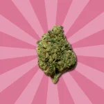 BANANA GG CBD | COGOLLOS DE CBD INDOOR - Imagen 4