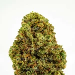 BANANA SMASH CBD - Imagen 2