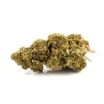 BERRY CREAM CBD - Imagen 4