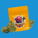 FORBIDDEN FRUIT CBD | FLORES CBD GREENHOUSE - Imagen 2