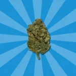 FORBIDDEN FRUIT CBD | FLORES CBD GREENHOUSE - Imagen 4