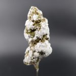 Flor Nevada