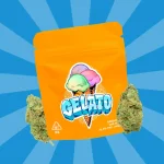 GELATO CBD | COGOLLOS CBD GREENHOUSE