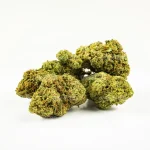 GELATO 33 CBD - Imagen 4
