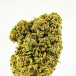 GELATO 33 CBD - Imagen 2