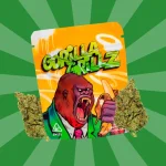 GORILLA GRILLZ FLORES | COGOLLOS DE CBD