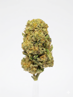 Jack Herer CBD