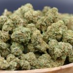 Jungle Kush flores mini