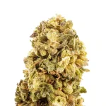 KRIPPY KUSH - Imagen 2