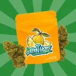 LEMON HAZE CBD | FLORES DE CBD OUTDOOR