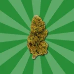 LEMON HAZE CBD | FLORES DE CBD OUTDOOR - Imagen 4