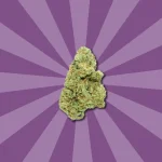 LEEROY JENKINS CBD | FLORES CBD GREENHOUSE - Imagen 4