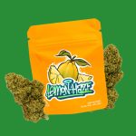 LEMON HAZE CBD | FLORES DE CBD OUTDOOR - Imagen 2