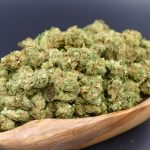 Lemon Haze flores mini ¡2×1!