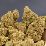 Lemon Haze ¡2×1!