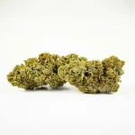 MANGO HAZE - Imagen 4