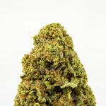 MANGO HAZE - Imagen 2