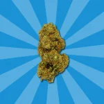 ORANGE COOKIES CBD | FLORES DE CBD OUTDOOR - Imagen 4