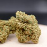 Amnesia Hy-Pro - Imagen 2