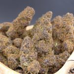 Purple Haze ¡2×1!