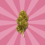 STRAWBERRY CBD | FLORES DE CBD OUTDOOR - Imagen 4