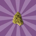 ZKITTLEZ CBD | FLORES CBD OUTDOOR - Imagen 4