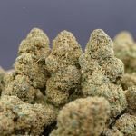 Zkittlez