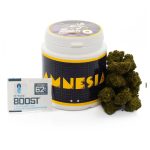 Amnesia CBD - Imagen 4