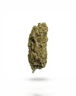 Amnesia CBD - Imagen 2