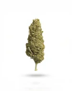 Apple Jack CBD - Imagen 2