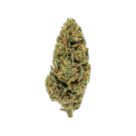 Cheese CBD