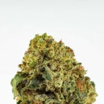 GOLDEN NUGGETS - Imagen 2