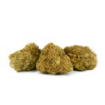 Indoor Mix