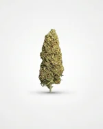 Tropical Pack CBD - Imagen 2