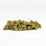 MINI BRAINS CBD - Imagen 4