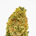 MINI BRAINS CBD - Imagen 2