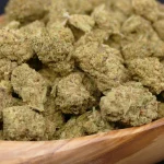 Gelato 33 Mini Buds