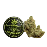 Flor CBD Indoor Hidropónica Amnesia - Imagen 2