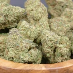 Northern Lights